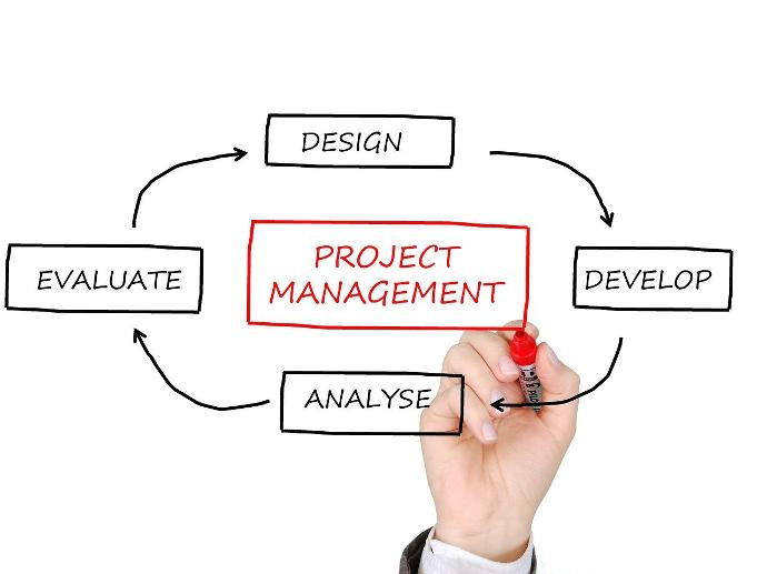 Project Management Consulting